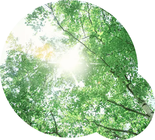 もとまちリウマチ内科クリニックは一般内科とリウマチの二本柱で地域の健康を支えます。「何科に相談すればよいか分からない」という体調のお悩みも、まずはお気軽にご相談ください。